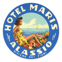 Vintage Hotel & Travel Sticker