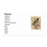 Vintage Hummingbird Business Card Template