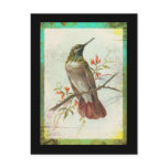Vintage Hummingbird