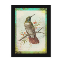 Vintage Hummingbird