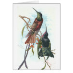 Vintage Hummingbirds Card