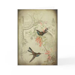 Vintage Hummingbirds Cards