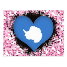 Vintage I Love Antarctica Postcard