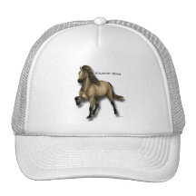 Vintage Icelandic Mesh Hats