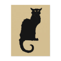 Vintage Illustration Halloween Black Cat