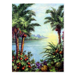 Vintage Island Postcard