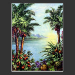 Vintage Island Postcard postcards