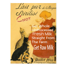 Vintage Kitten Milk Poster Post Cards