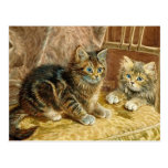 Vintage Kitty Cats - Victorian Cat Art Postcard
