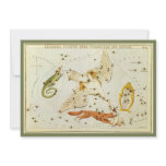Vintage Lacerta, Cycnus, Lyra, Vulpecula and Anser Custom Invites
