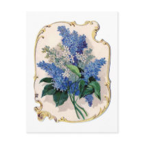 Vintage Lilacs Postcards