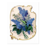 Vintage Lilacs Postcards