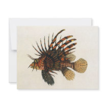 Vintage Lion Fish Custom Announcement