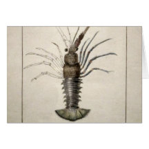 Vintage Lobster Artwork Greeting Card
