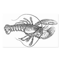 Vintage Lobster illustration Rectangle Stickers