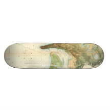 Vintage Map of The San Diego Bay (1857) Skate Boards