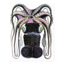Vintage Marine Life Animal, Giant Octopus or Squid Post Card