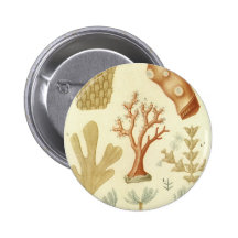 Vintage Marine Life Animals Coral Textbook Biology Pinback Buttons