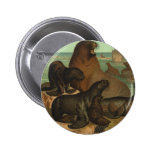 Vintage Marine Life Animals Sea Lions on the Shore buttons