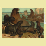 Vintage Marine Life Animals Sea Lions on the Shore cards