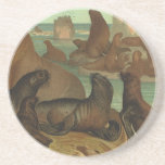 Vintage Marine Life Animals Sea Lions on the Shore coasters
