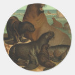 Vintage Marine Life Animals Sea Lions on the Shore Stickers