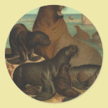 Vintage Marine Life Animals Sea Lions on the Shore stickers