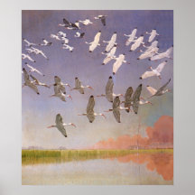 Vintage Marine Life Birds, Flock of Ibis Flying Print