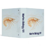 Vintage Marine Life; Shrimp Anatomy