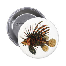 Vintage Marine Ocean Life Animal, Lionfish, Fish Pinback Button