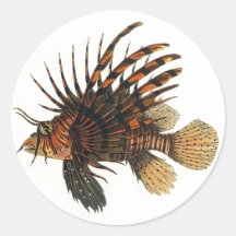 Vintage Marine Ocean Life Animal, Lionfish, Fish Stickers