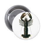 Vintage Marine Ocean Life Crustacean, Lobster Buttons