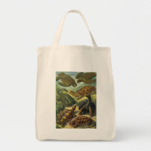 Vintage Marine Reptiles, Sea Turtles Land Tortoise Canvas Bags