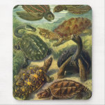 Vintage Marine Reptiles, Sea Turtles Land Tortoise Mousepads