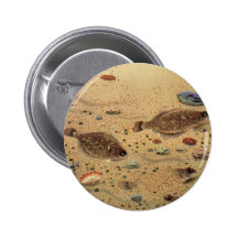 Vintage Marine Sea Life, Trio Flat Fish Flounders Pinback Button