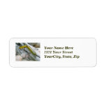 Vintage Masterlure Jointed Eel Saltwater Plug Return Address Labels
