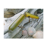 Vintage Masterlure Jointed Eel Saltwater Plug Postcards