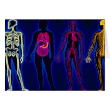 Vintage Medical, human systems Cards