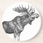 Vintage Moose Beverage Coasters