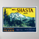 Vintage Mt Shasta California Pears Label posters