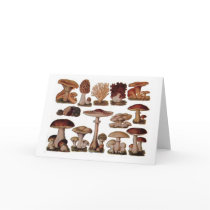 Vintage Mushroom Card