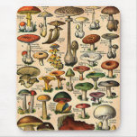 Vintage Mushroom Guide Use Pad
