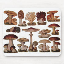 Vintage Mushroom Mousepad