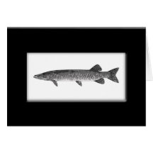 Vintage Muskie fishing painting Card