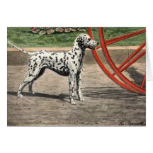 Vintage Notecard-Dalmatian Dog
