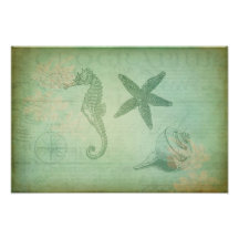 Vintage Ocean Animals and Seashells Photo Art