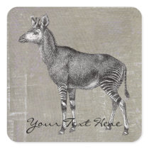 Vintage Okapi Square Stickers