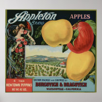 Vintage Old Apple Fruit Crate Labels