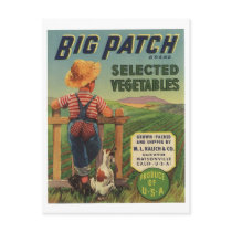 Vintage Old Retro Crate Product Goods Label Veggie Postcard