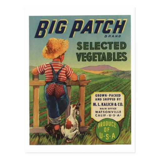 Vintage Old Retro Crate Product Goods Label Veggie Postcard